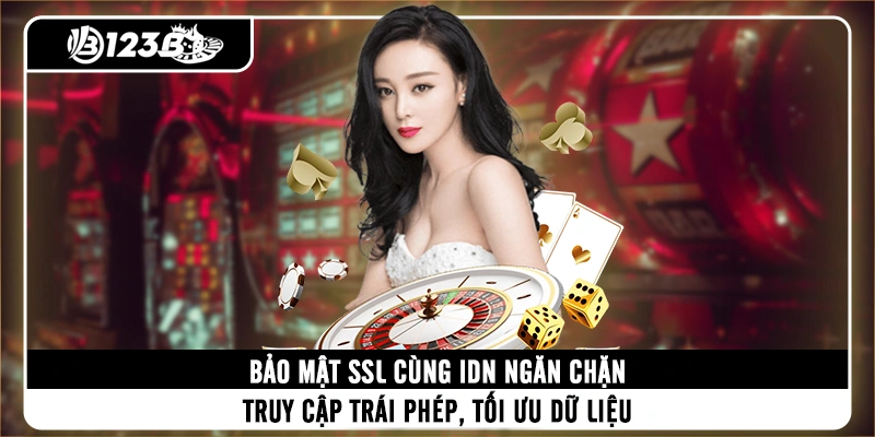 bao-mat-ssl-cung-idn-ngan-chan-truy-cap-trai-phep-toi-uu-du-lieu