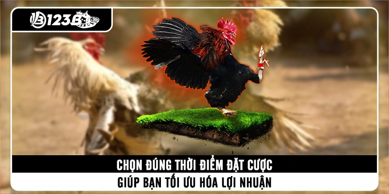 chon-dung-thoi-diem-dat-cuoc-giup-ban-toi-uu-hoa-loi-nhuan