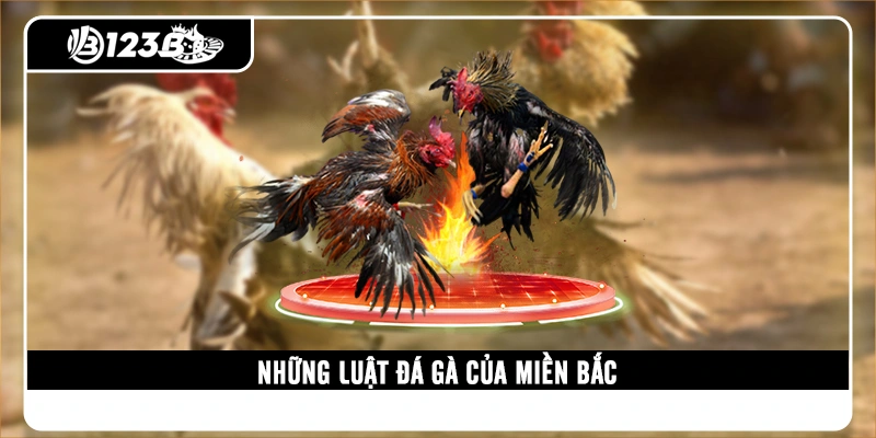 nhung-luat-da-ga-cua-mien-bac