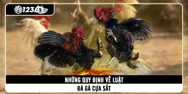 nhung-quy-dinh-ve-luat-da-ga-cua-sat