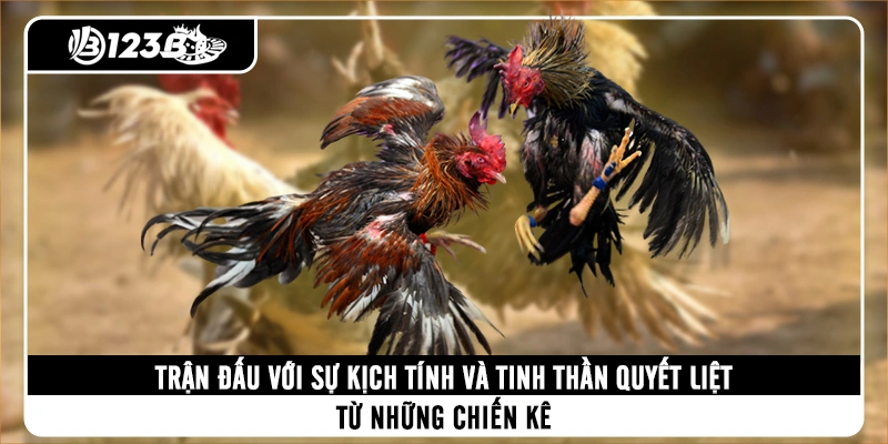 tran-dau-voi-su-kich-tinh-va-tinh-than-quyet-liet-tu-nhung-chien-ke